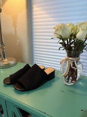Donald Pliner Black Fabric Slide Sandals Women’s Block Heel